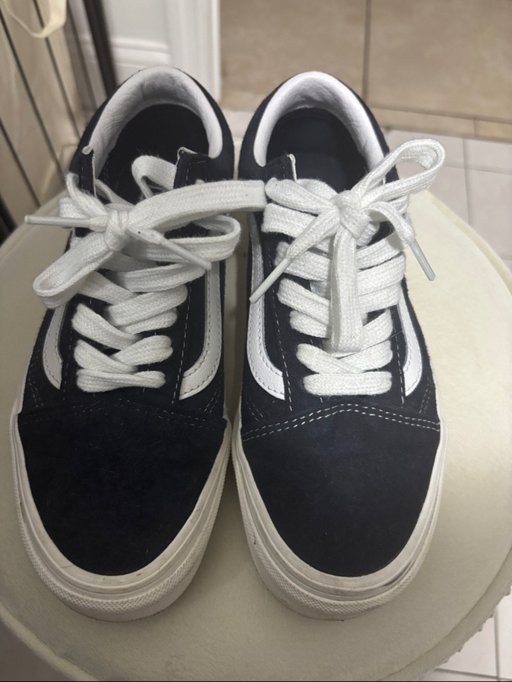 Vans Navy & White Low-Top Skate Sneakers
